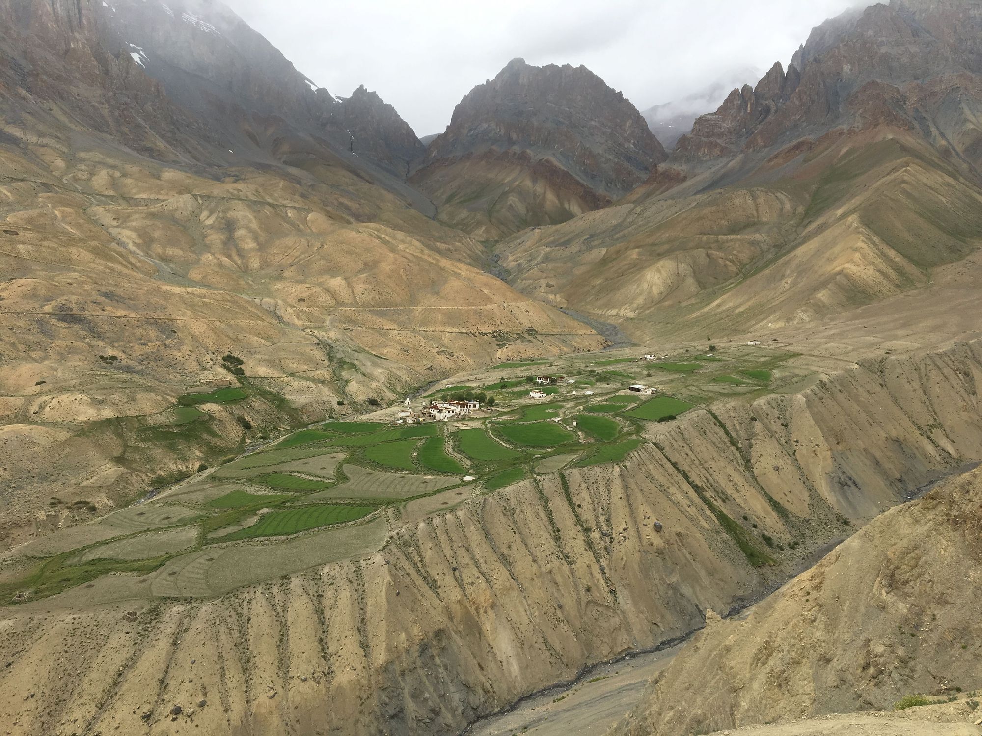 Dechen from Ladakh prepares butter tea