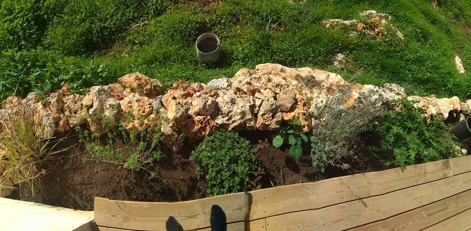 Sigal makes tea with herbs from her garden in Israel